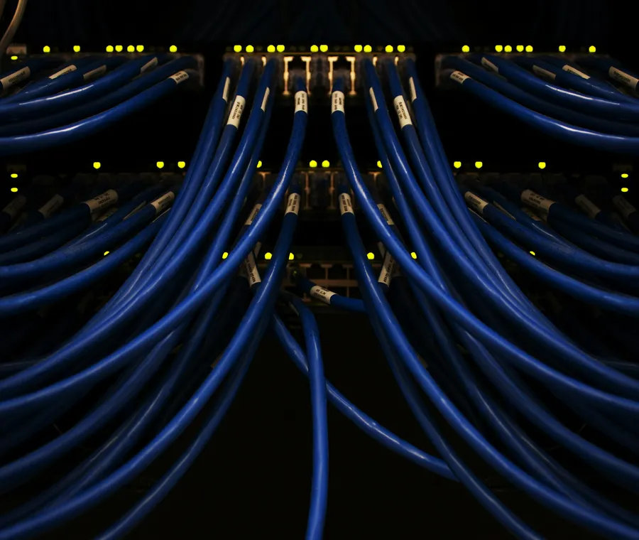 Neatly bundled blue network cables plugged into a switch